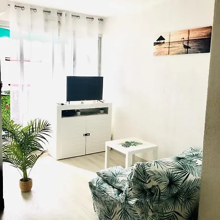 Apartment Les Pieds Dans L'eau: Beachside Retreat With Private Parking La Grande-Motte